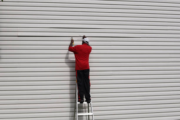 Best Siding Repair  in Hardinsburg, KY